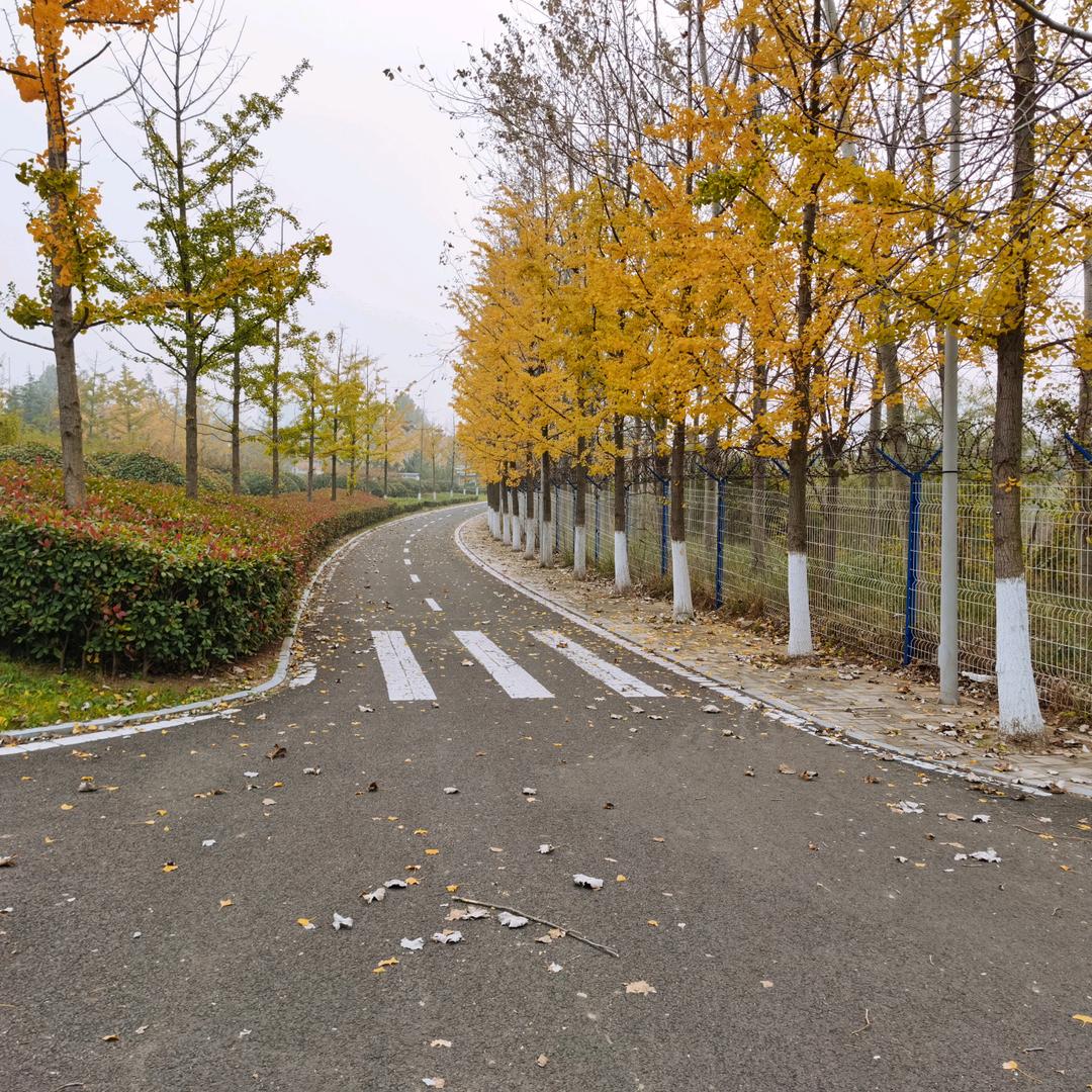 你身边的汽配专家