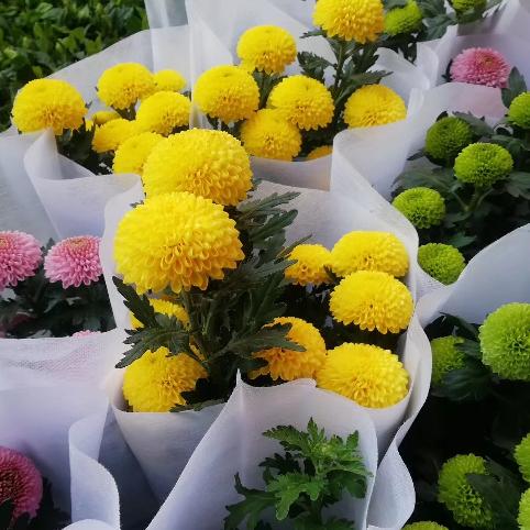 人生就像一杯酒