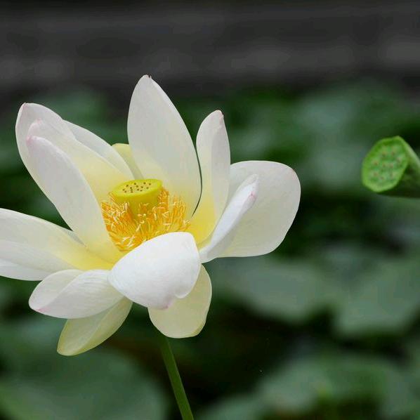 徐徐🌴🌻如生