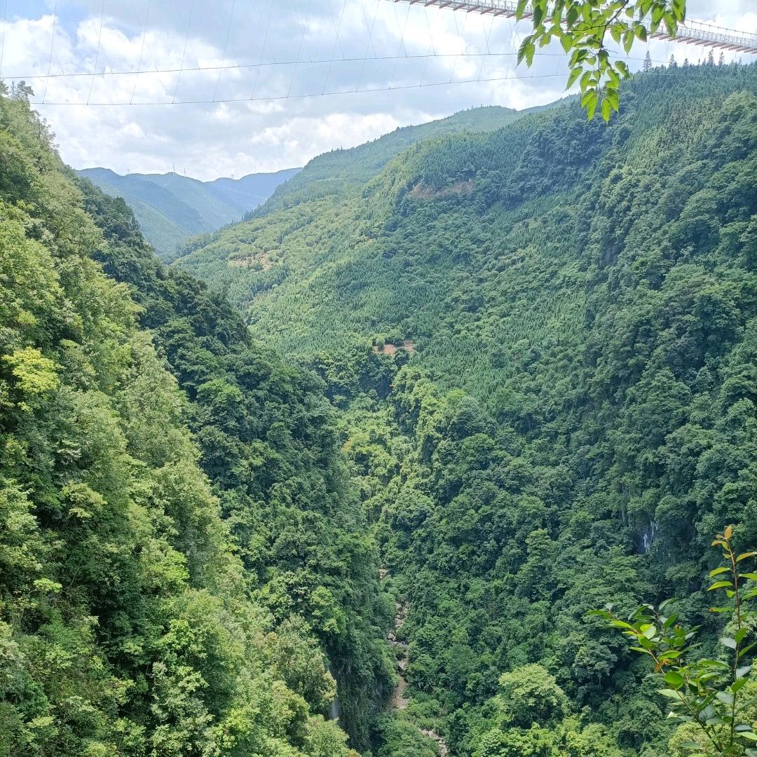 投桃报李