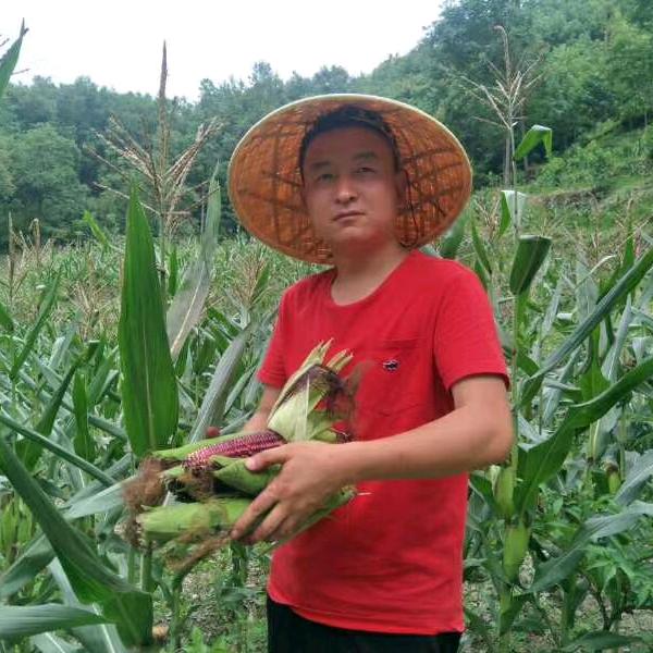 帽子哥(新农人)