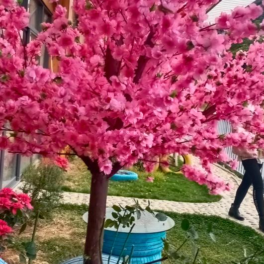 黑夜里最亮的星⭐