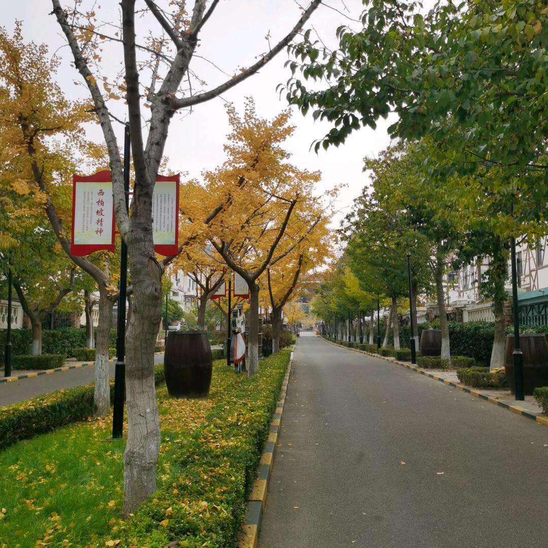 用户平平淡淡