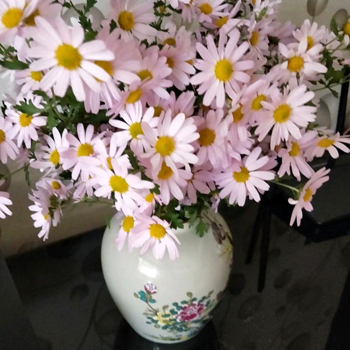 似水凝然