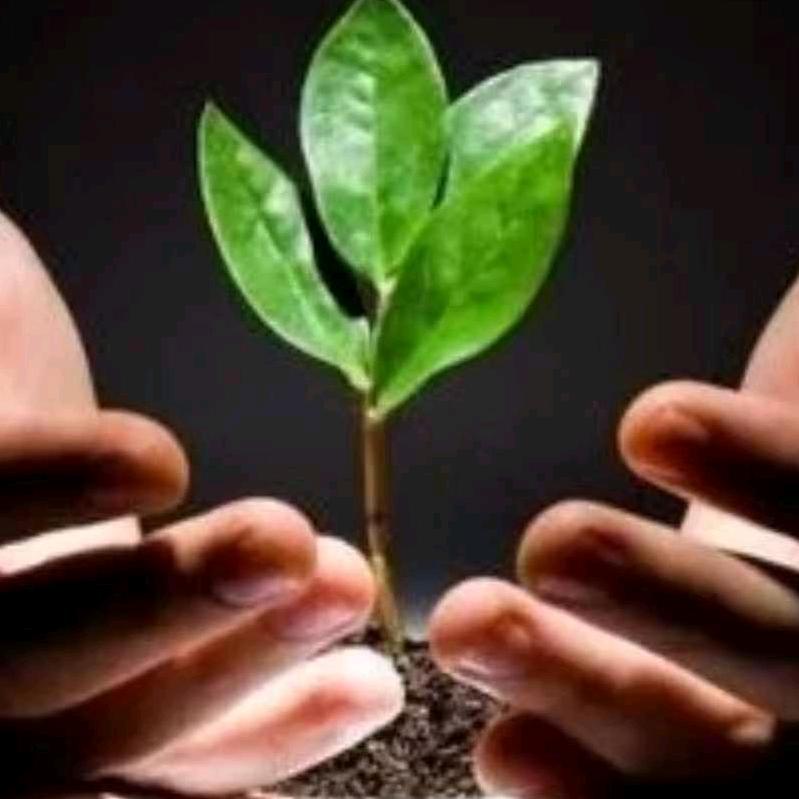 冉堌镇世纪之星幼儿园