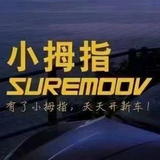 小拇指点喷精修-390店（来哥）