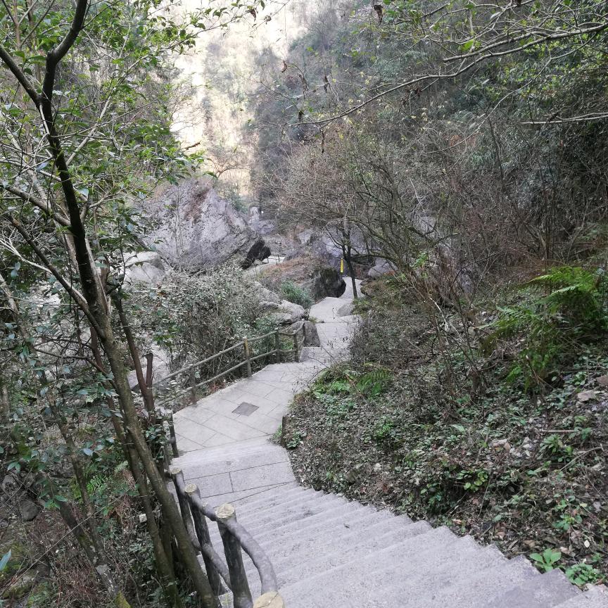 杨阳