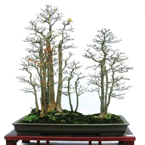 清風明月