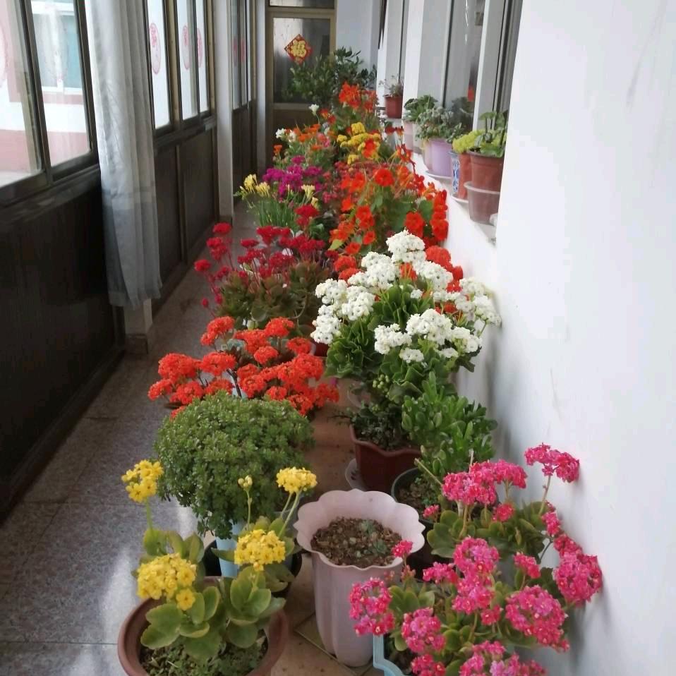 阳光舞蹈队