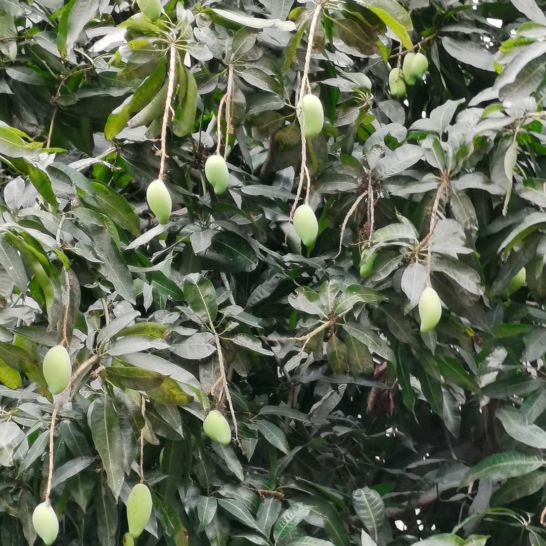 一声兄弟大过天