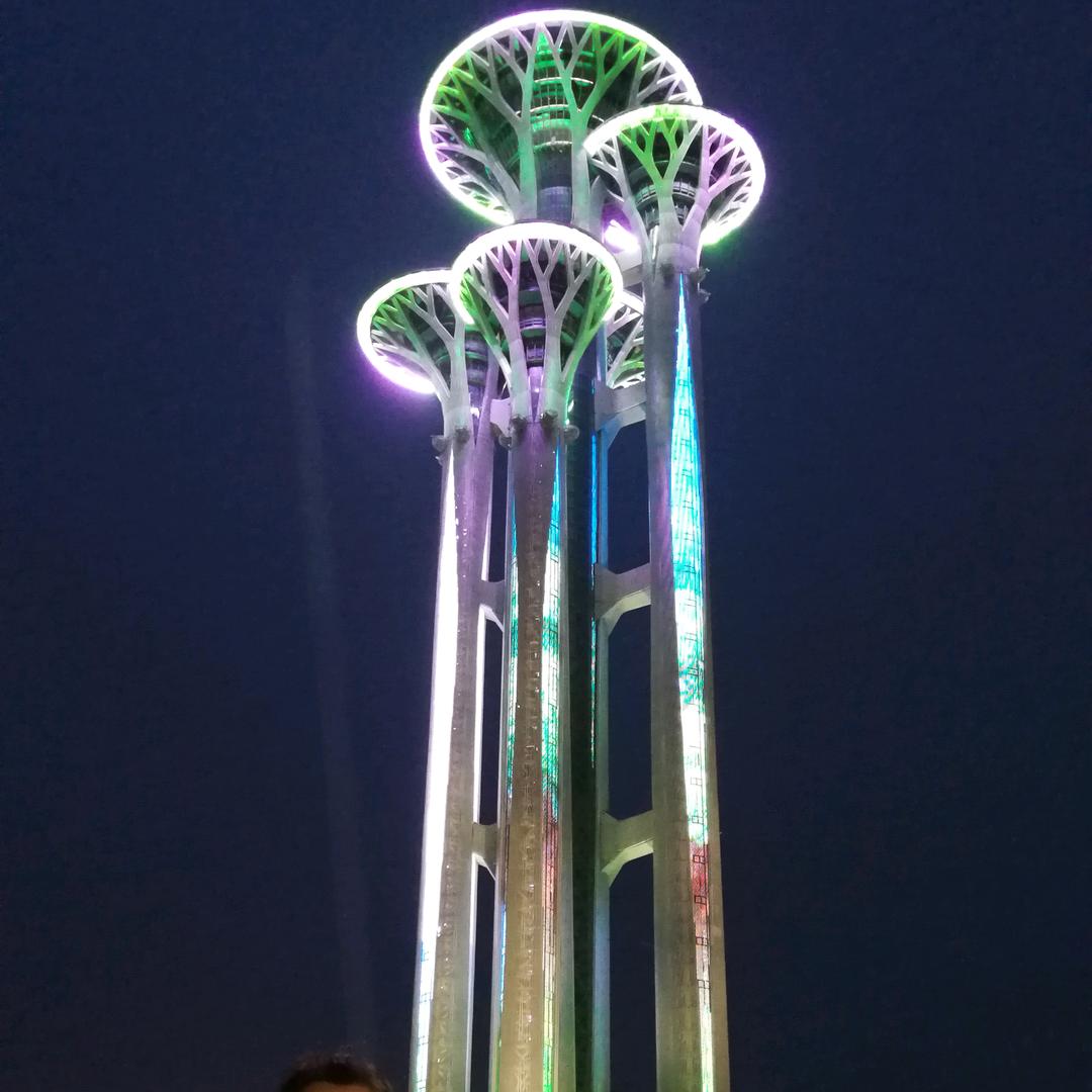 3231211