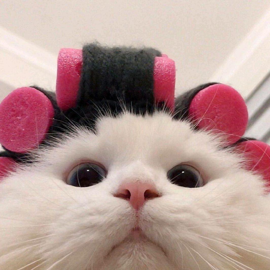 椰椰子