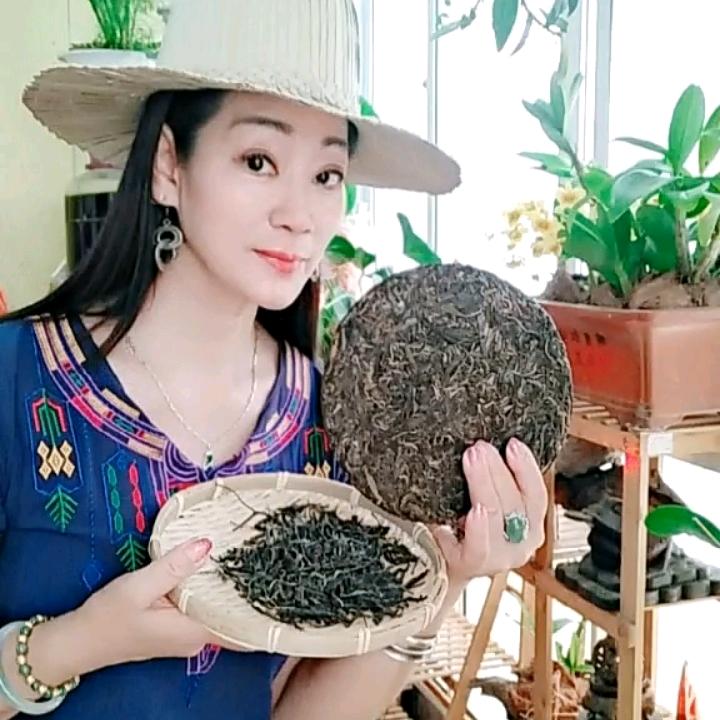西双版纳哪山哪水