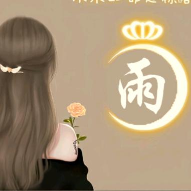 风中的雨☔️儿