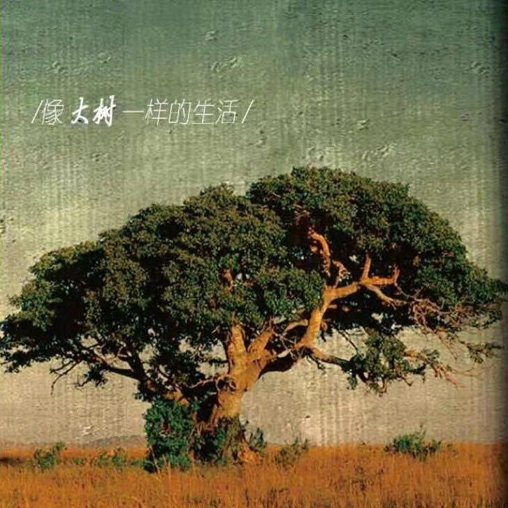 大☆树