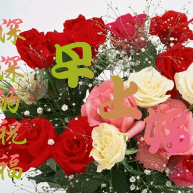 阳🍀光🌴微🌷暖