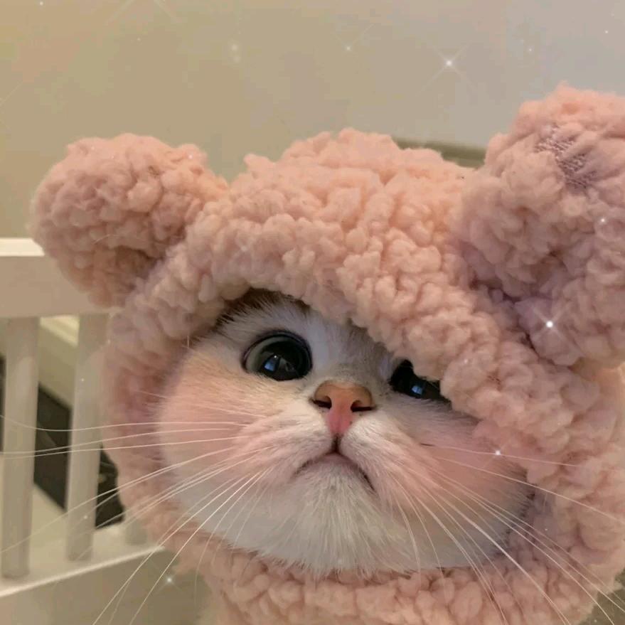 欣欣～