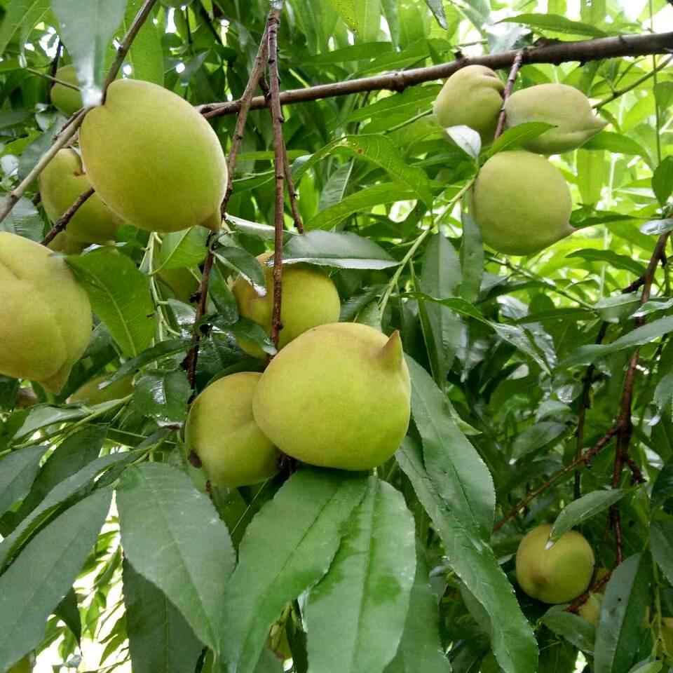 用户5222158252666一路向前