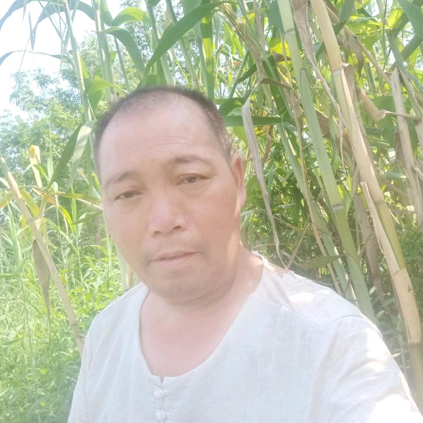 张六