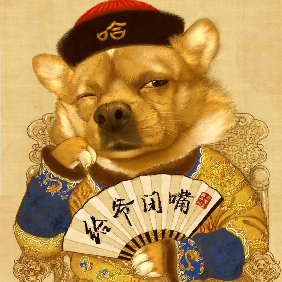 笨蛋，小狗