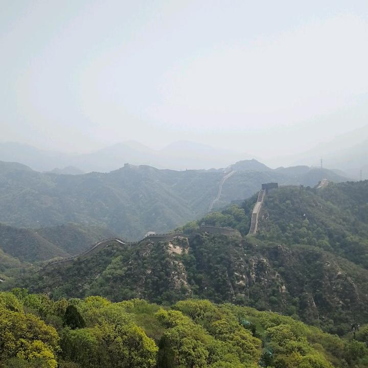 无药堂