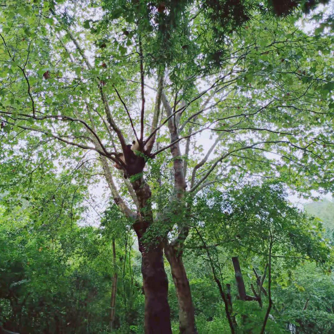 用户3771911159359