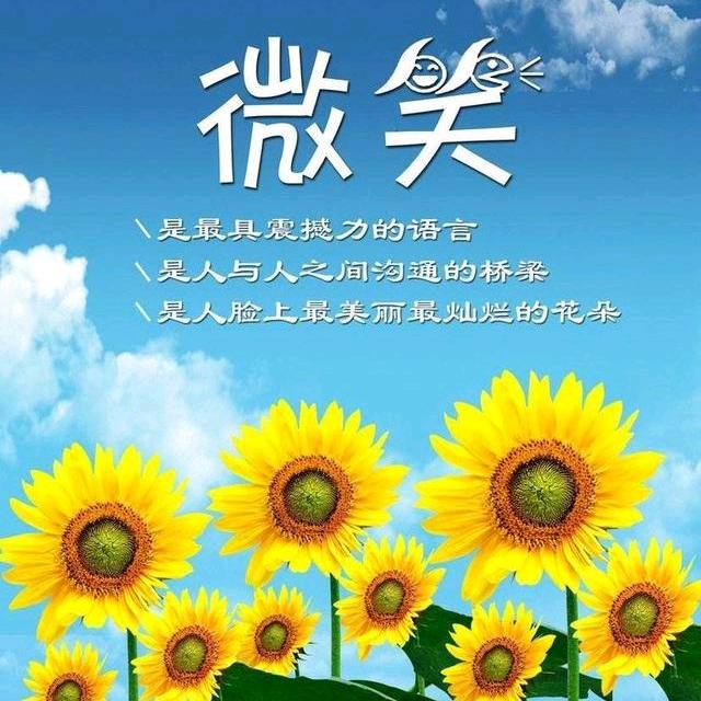 陳家小小姐❗️