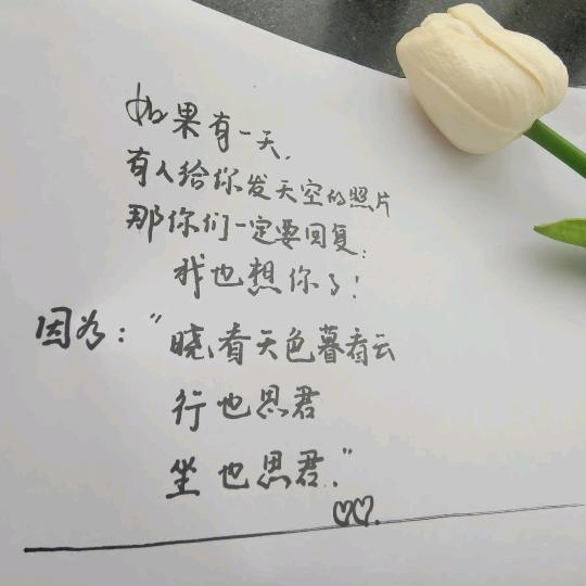 菲