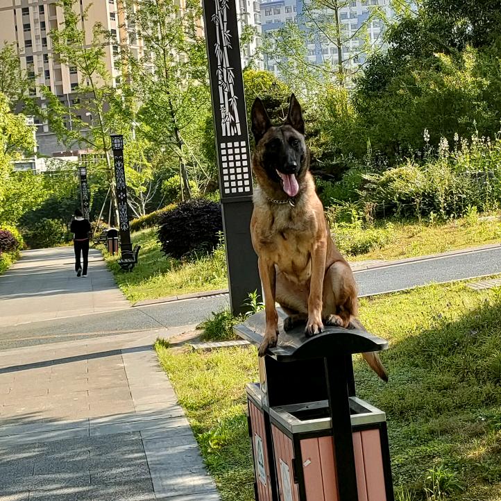 二环路佘氏鱼庄