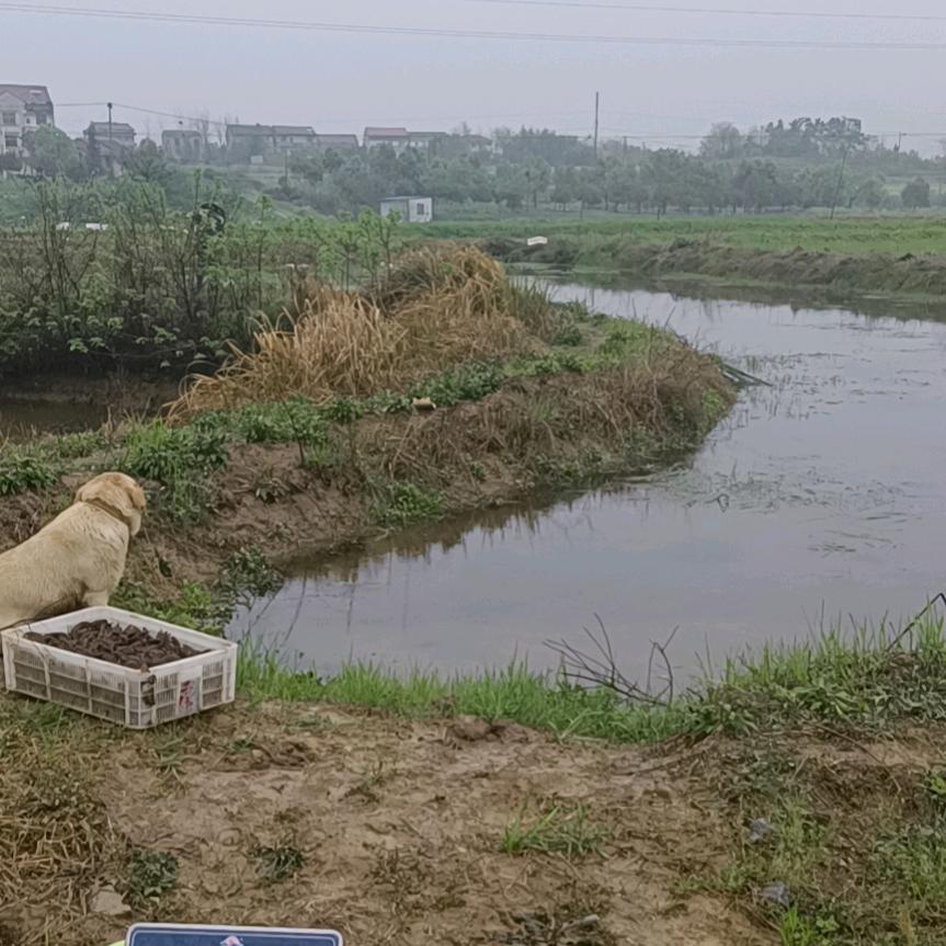 小周水产收购📶