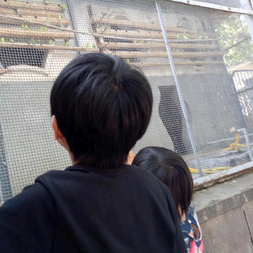 镇平财富世家星系幼儿园Denean老师