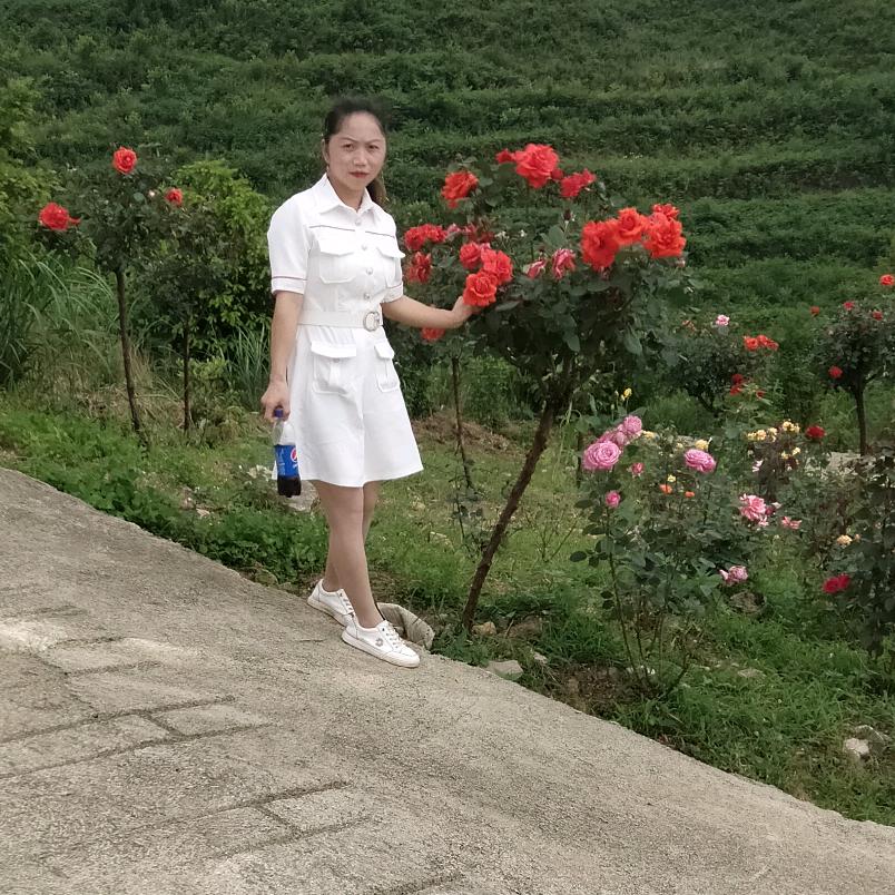 美丽人生