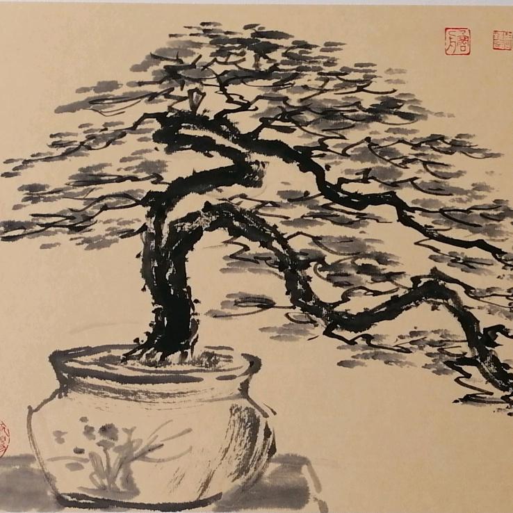 新绿福盆景