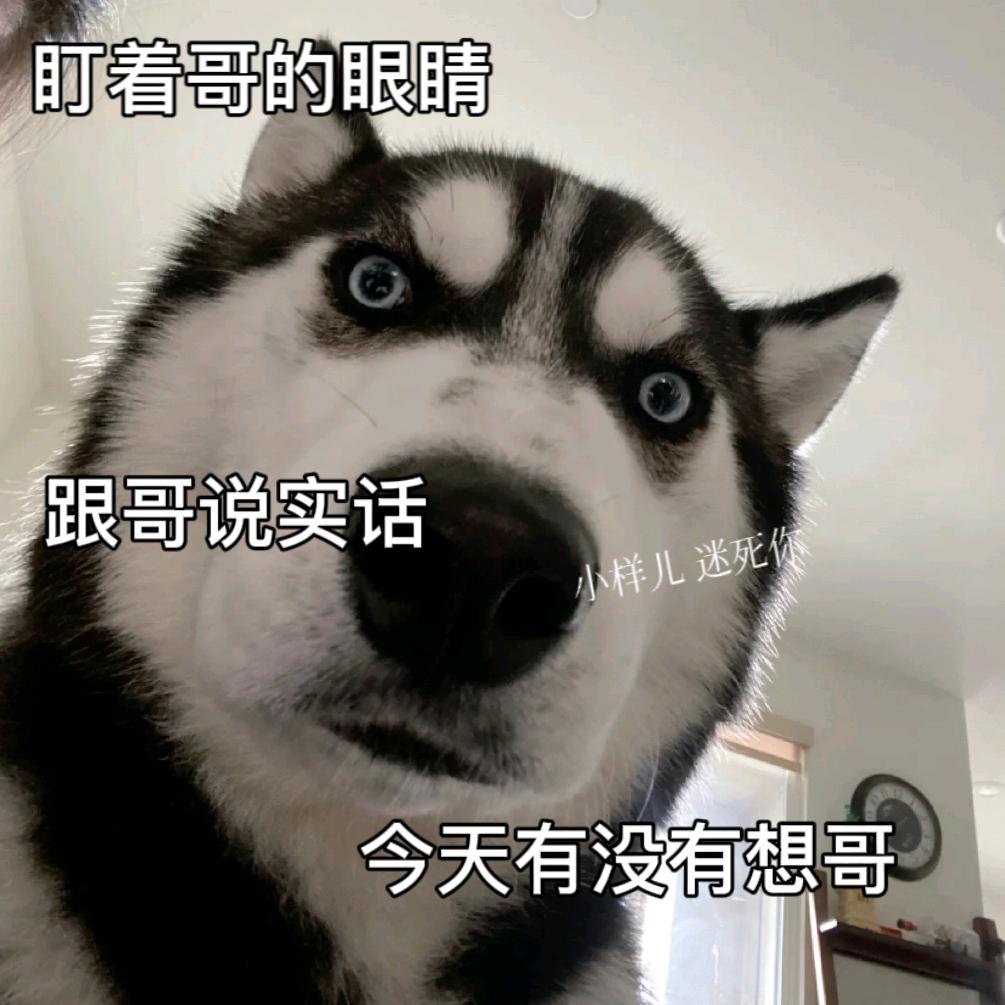 DY8