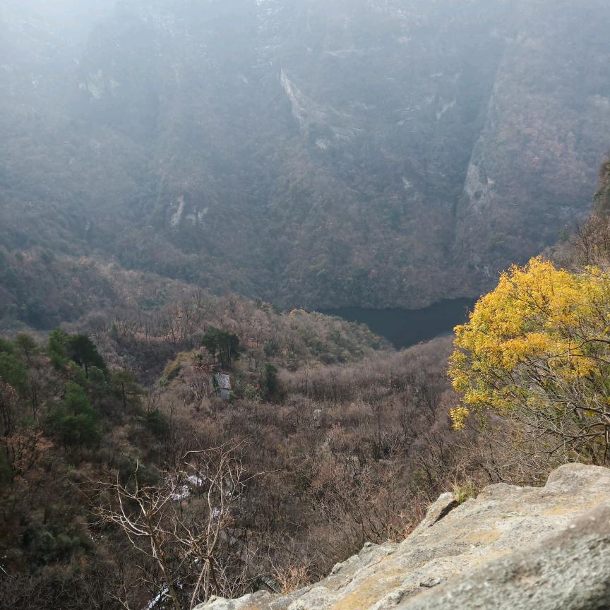 勇敢