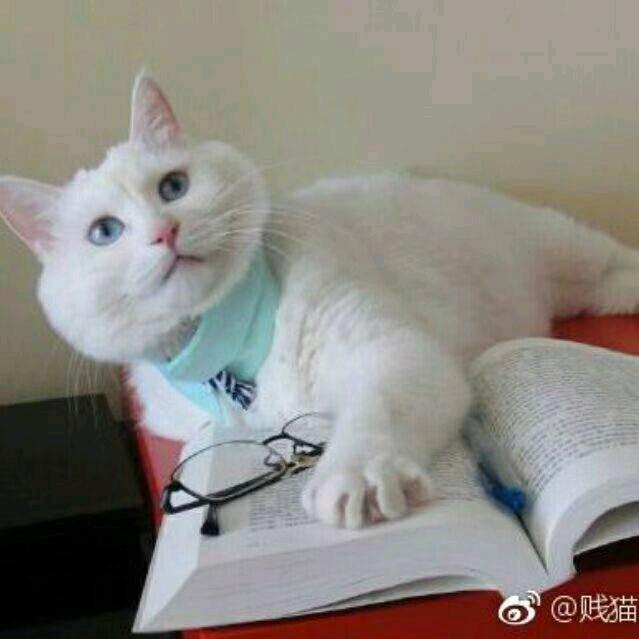 米摊摊拌粉