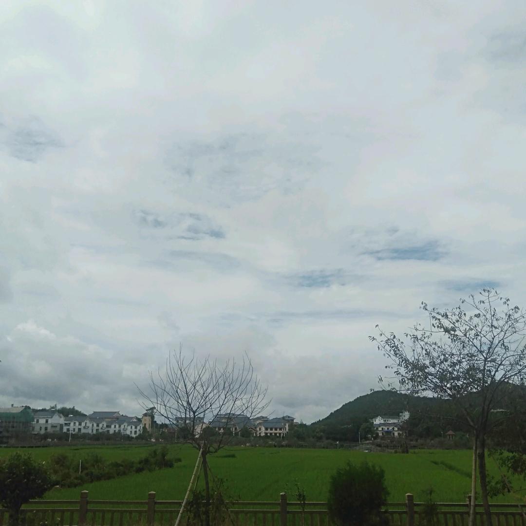 阿文