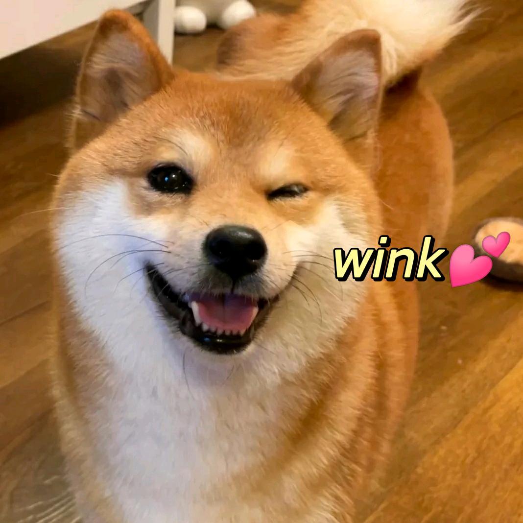 禾又HEY水晶手链