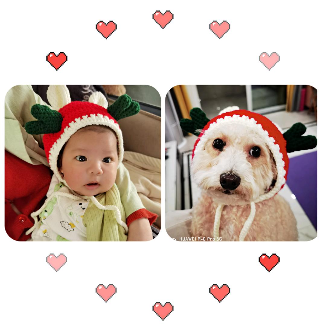 照亮人间滴太阳🌞