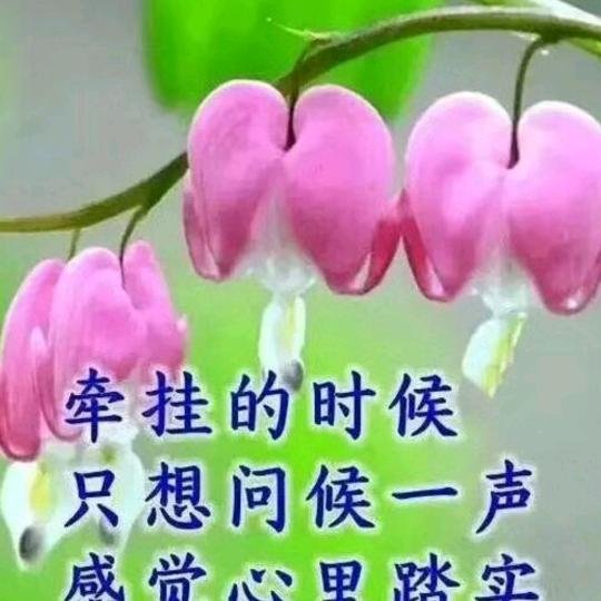二妹