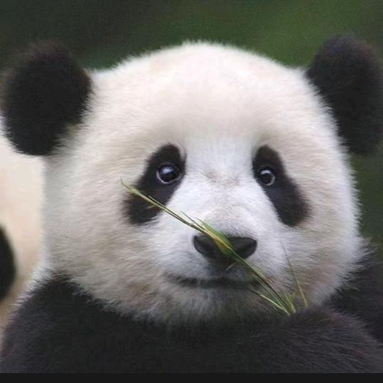 ༺王༒小༒欠༻