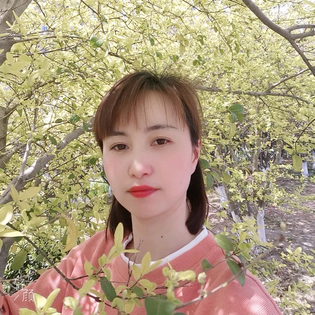 🌸🌸🌸