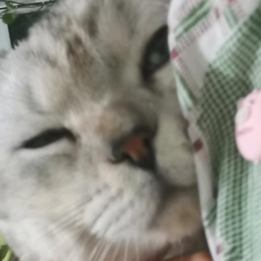 一觉醒来啥也没有