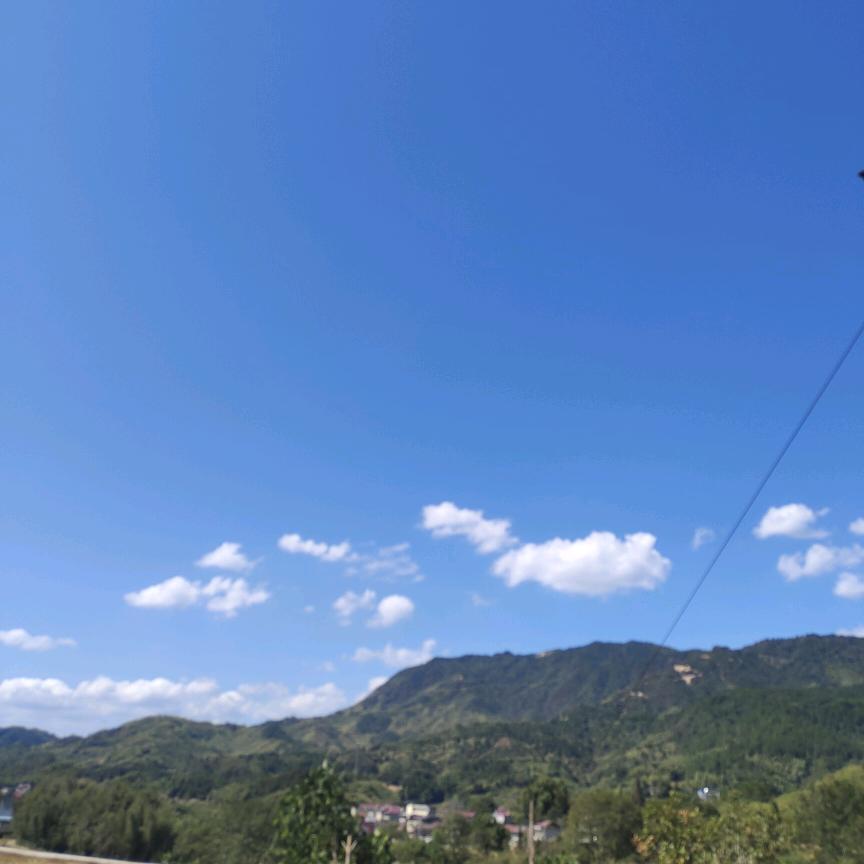 征春