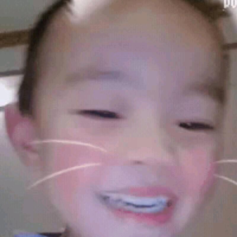 仙仙