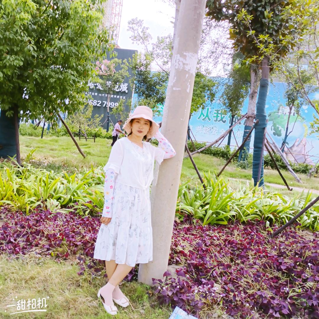 黑白曲线、谁落兮了岁月