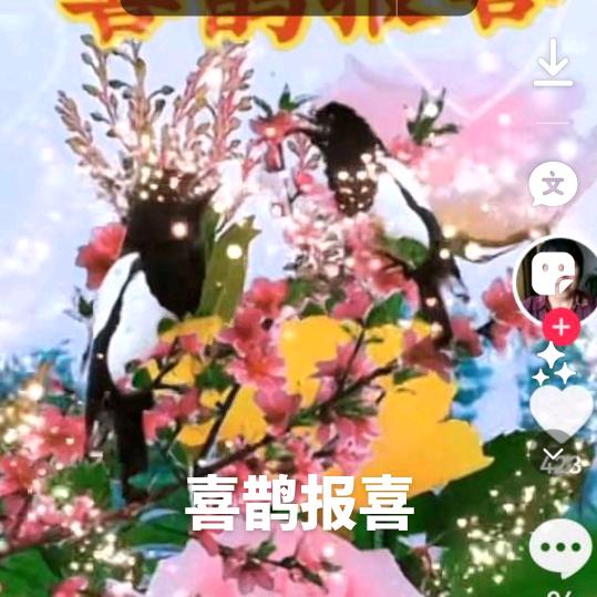 爱心老人453