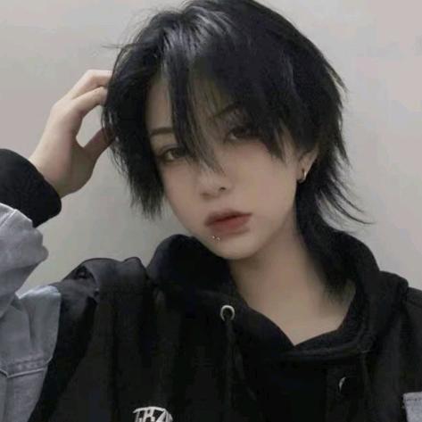 苍星居士