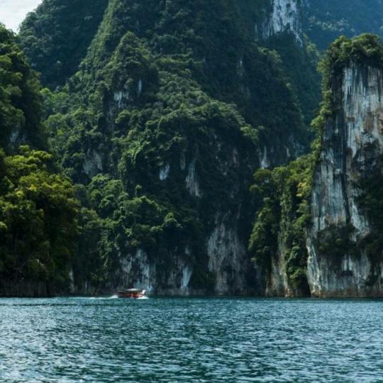 专业搭建彩钢瓦棚