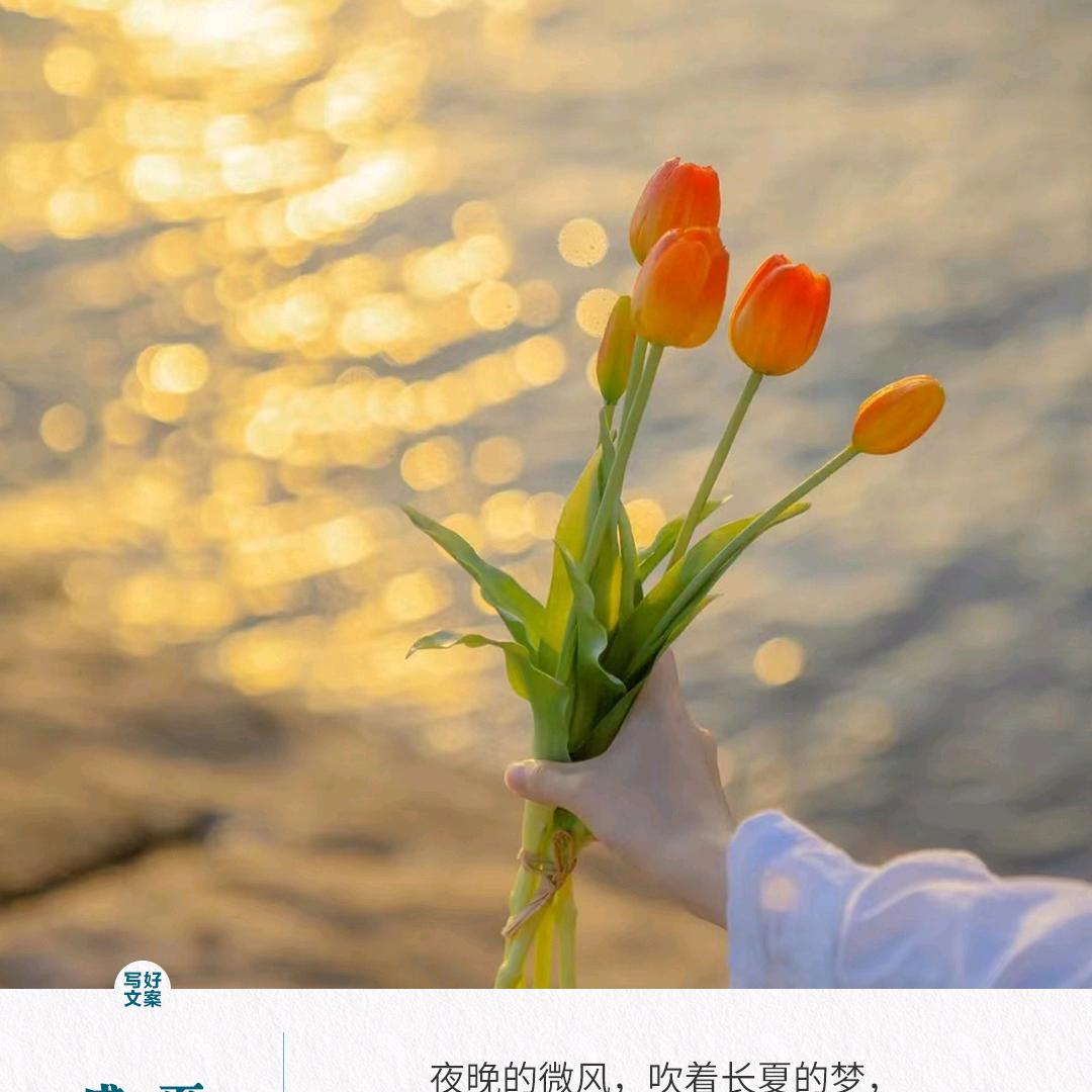 一颗红心向太阳